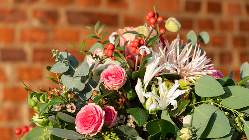 angebot blumen foto